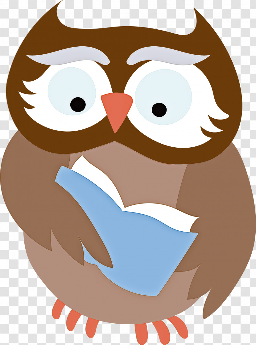 Owls Birds Beak Bird Of Prey Cartoon Transparent PNG