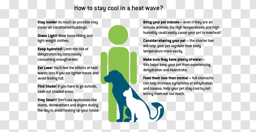 Heat Wave Natural Disaster Humidity - Diagram Transparent PNG