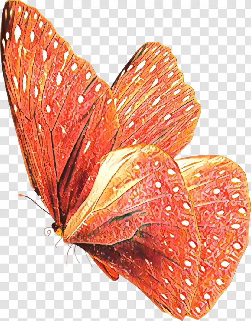 Orange - Moths And Butterflies - Petal Flower Transparent PNG