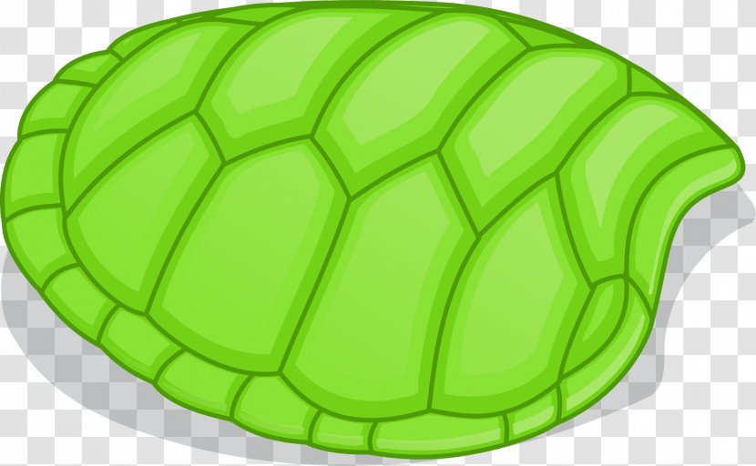 Turtle Shell Clip Art - Green Sea - Tortoide Transparent PNG