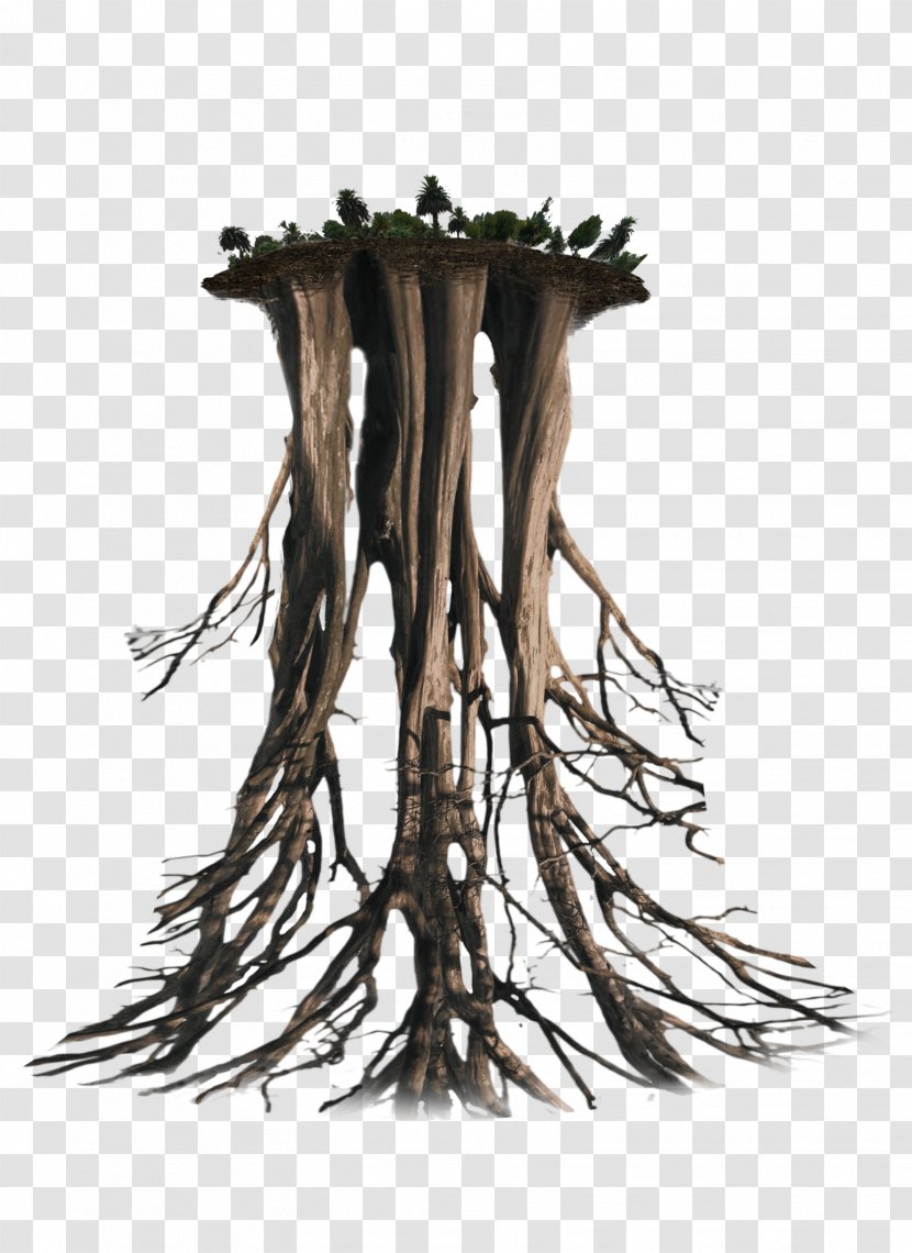 Tree Root Trunk - Floating Transparent PNG