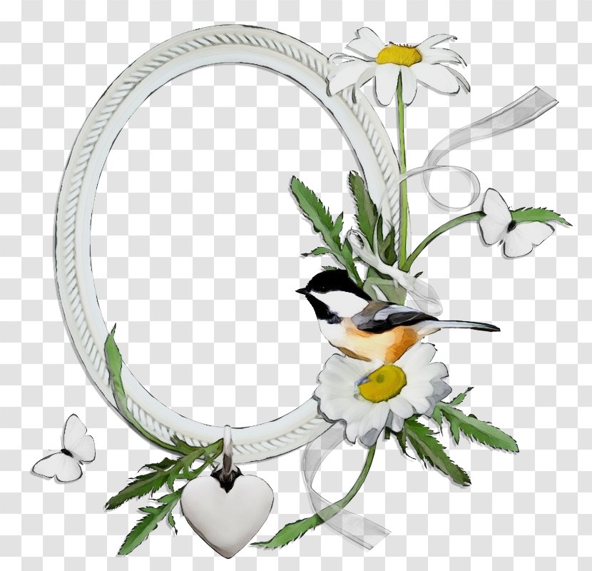 Floral Design - Mayweed - Plant Transparent PNG