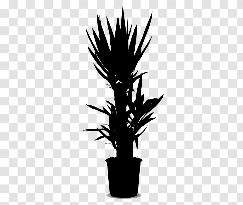 Palm Trees Flowerpot Houseplant Plant Stem - Flower - Yucca Transparent PNG