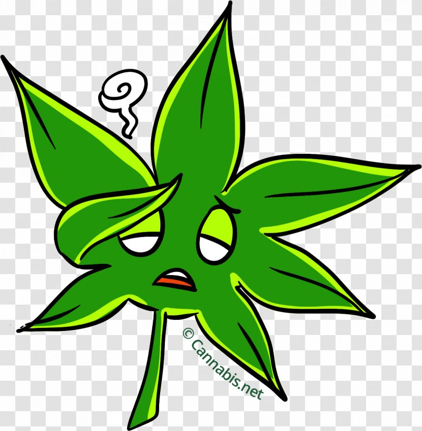Cannabis Tea Cup Marijuana Leaf - Green - Leaves Transparent PNG