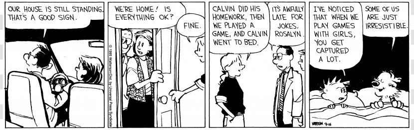 Calvin And Hobbes The Complete & Comics - Cartoon Transparent PNG