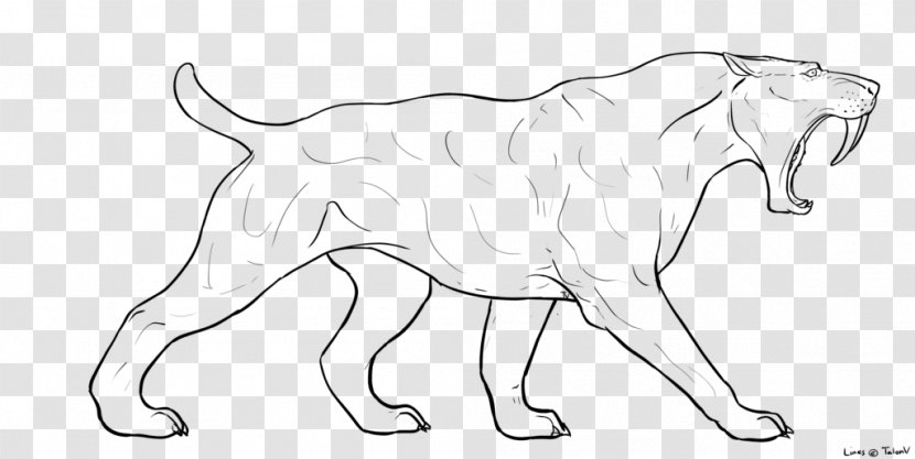 Saber-toothed Cat Art Felidae Drawing - Carnivoran - Cute Cartoon Tooth Transparent PNG