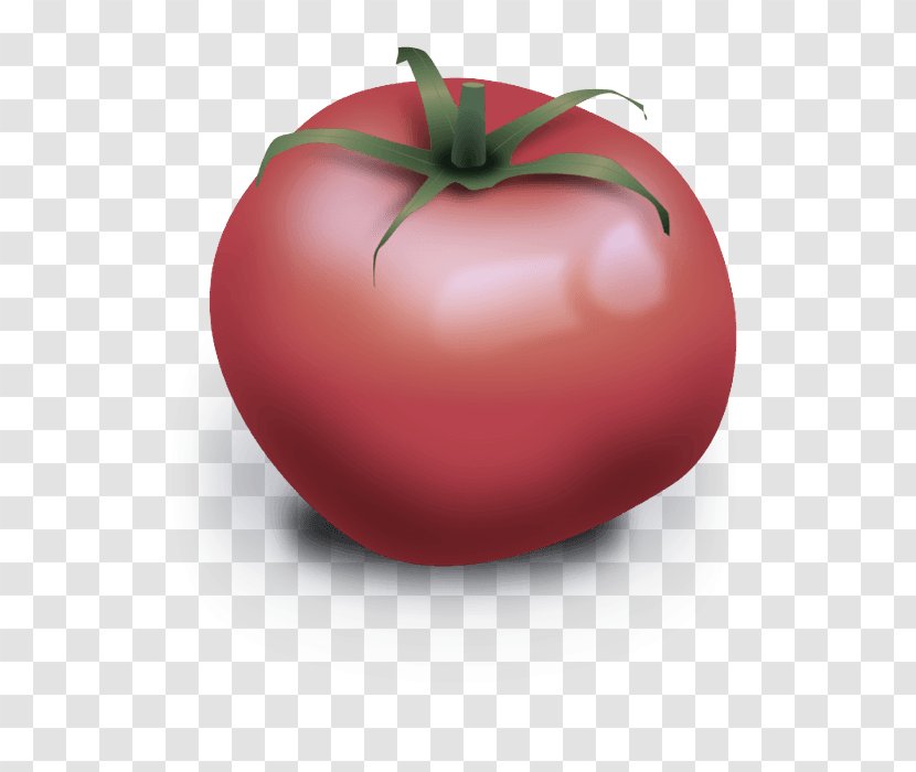 Tomato - Solanum - Nightshade Family Vegan Nutrition Transparent PNG