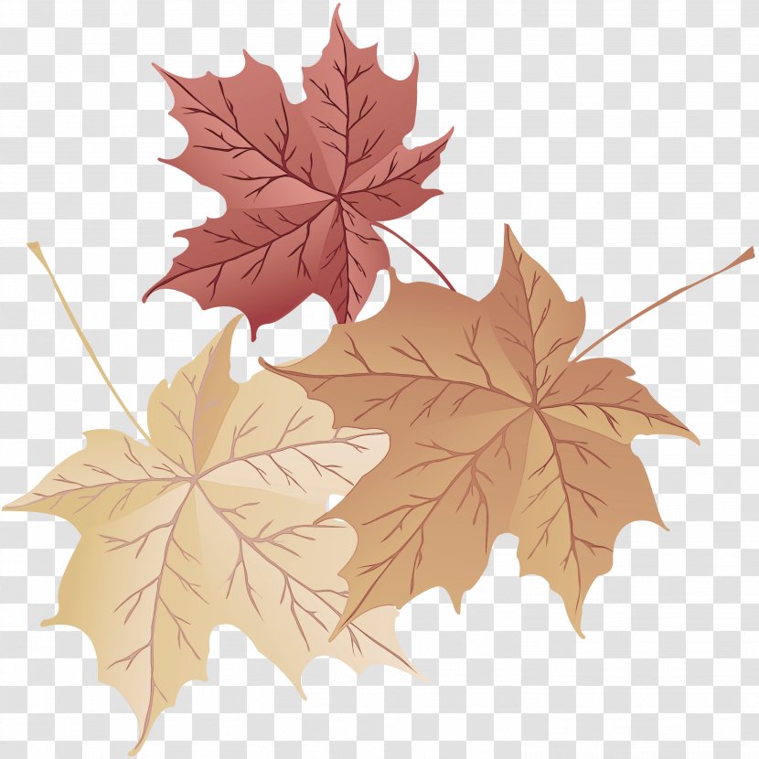 Maple Leaf - Plane - New Mexico Transparent PNG