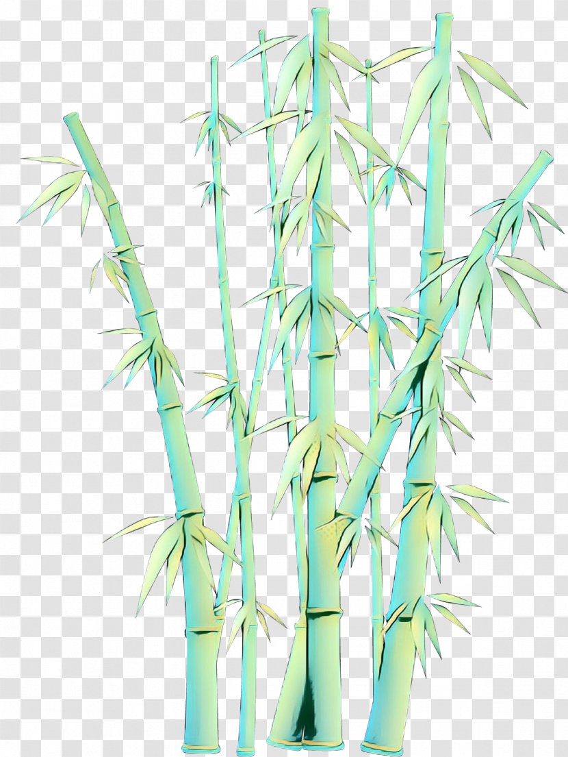 Bamboo Grass Plant Family Stem - Flower Elymus Repens Transparent PNG