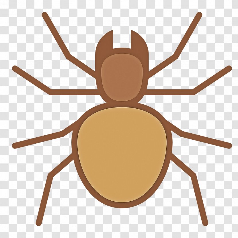 Insect Pest Spider Tarantula Arachnid - Parasite Transparent PNG