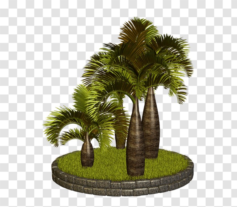 Clip Art Palm Trees GIF - Flowerpot - Tree Leaves Transparent Transparent PNG