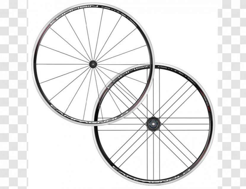 Campagnolo Khamsin Asymmetric Bicycle Wheels Cycling - Frame Transparent PNG