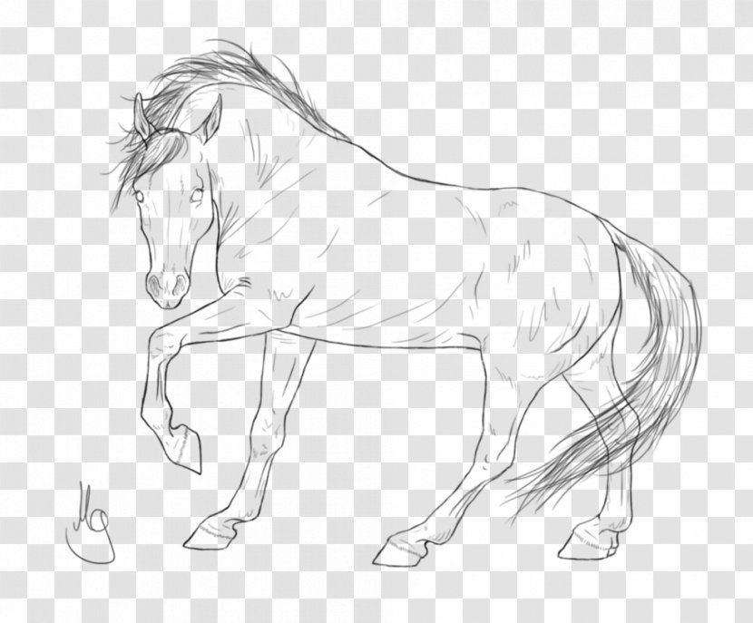Mane Halter Mustang Stallion Rein - Animal Figure - Arabian Horse Transparent PNG