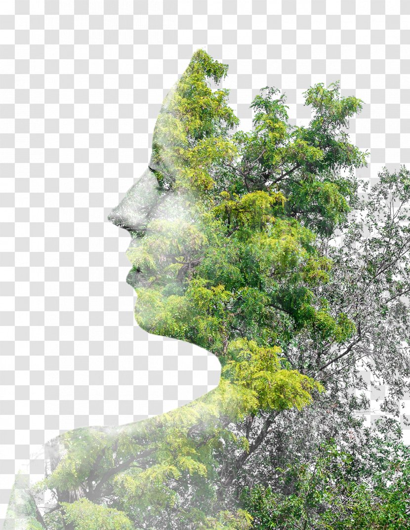 Tree Multiple Exposure Photography - Leaf - Creative Trees Figure In Profile Transparent PNG