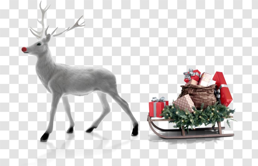 Christmas And New Year Background - Deer - Animal Figure Elk Transparent PNG