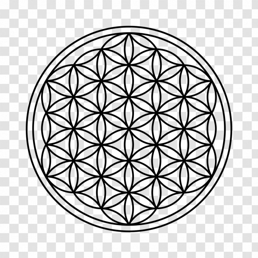 Vitruvian Man Sacred Geometry Overlapping Circles Grid - Sphere - Circle Transparent PNG