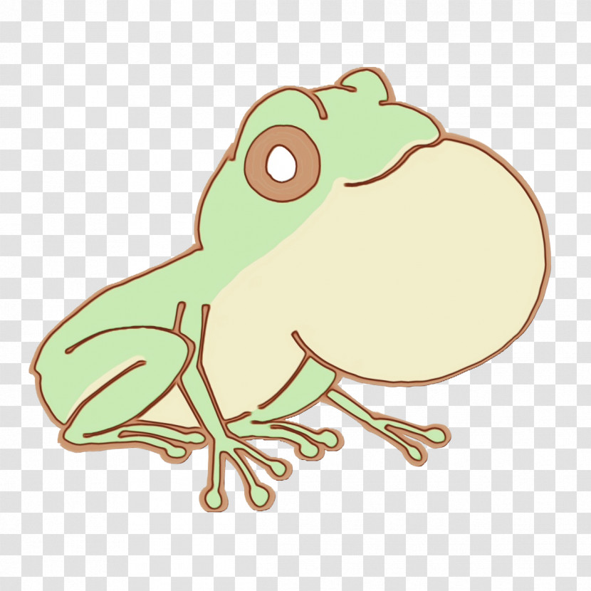 Toad True Frog Tree Frog Frogs Beak Transparent PNG
