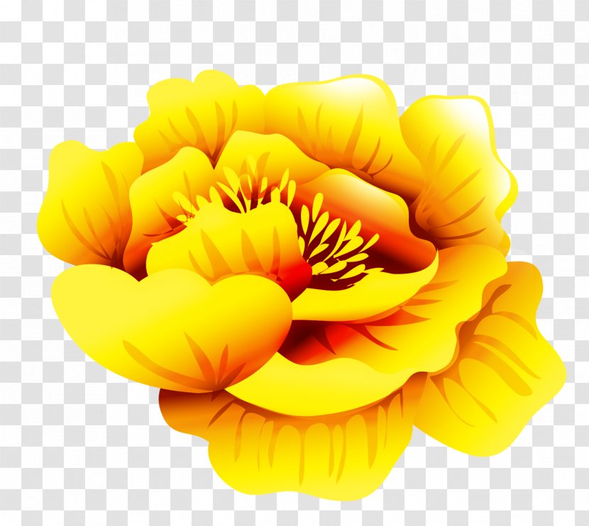 Icon - Flower - Peony Transparent PNG