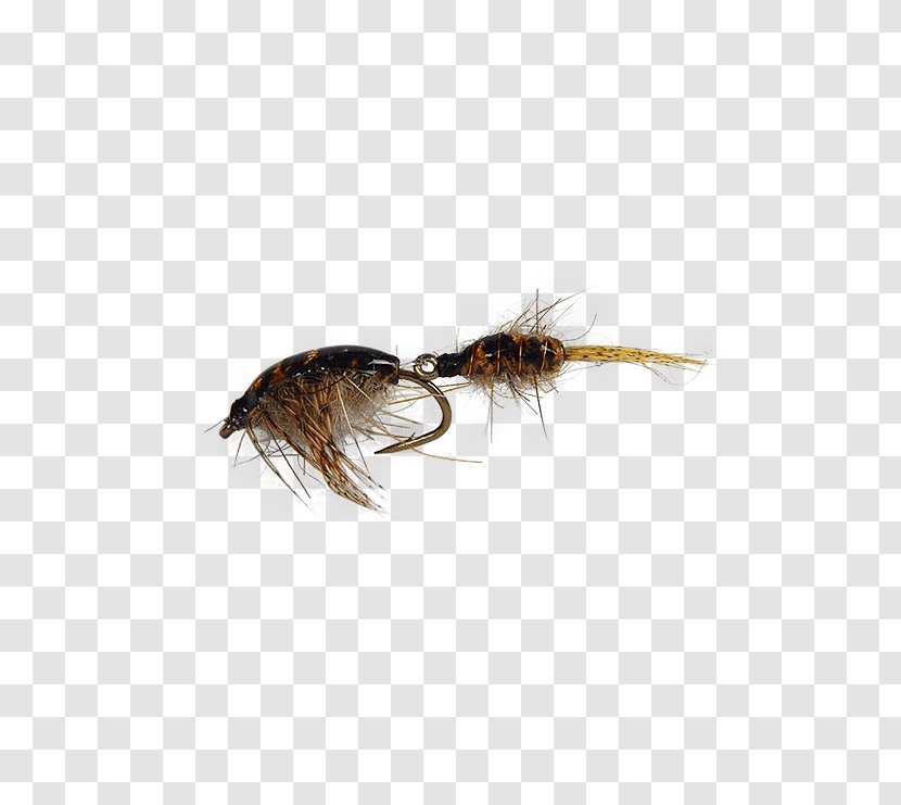 Artificial Fly Fishing Insect Hare's Ear - Nymph Transparent PNG