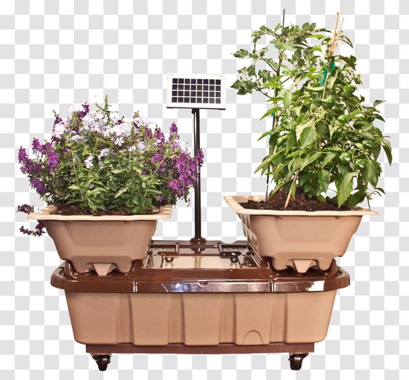 SimGar - Houseplant - The Simple Garden VizCO US Herb FlowerpotTomato Planter Bags Transparent PNG