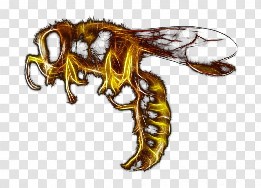 Honey Bee Pest Control Exterminator Bedbug - True Wasps - Butzbach Transparent PNG