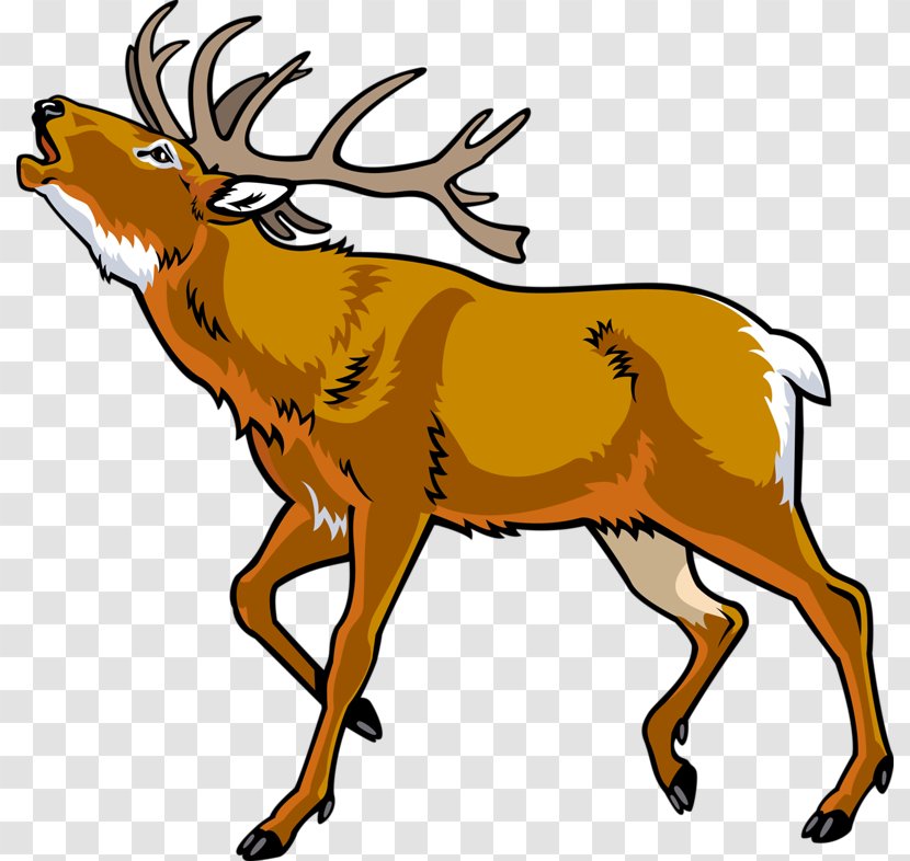 Elk Red Deer Clip Art - Horn - Hand-painted Cartoon Wild Transparent PNG