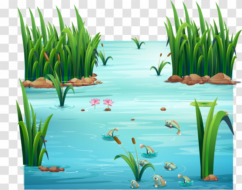Vector Graphics Royalty-free Stock Illustration Pond - Meadow - Pig Pen Transparent PNG