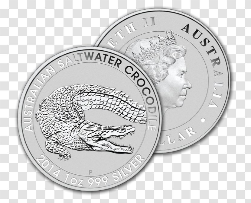 Gold Coin Silver Saltwater Crocodile Freshwater - Nickel - Metal Transparent PNG