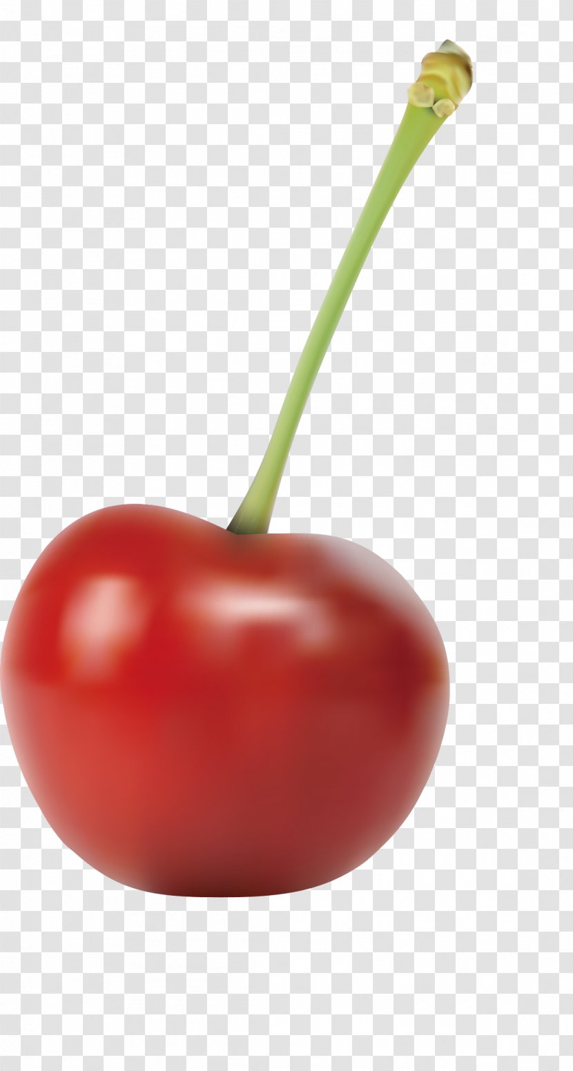 Smoothie Tomato Cherry Euclidean Vector Transparent PNG