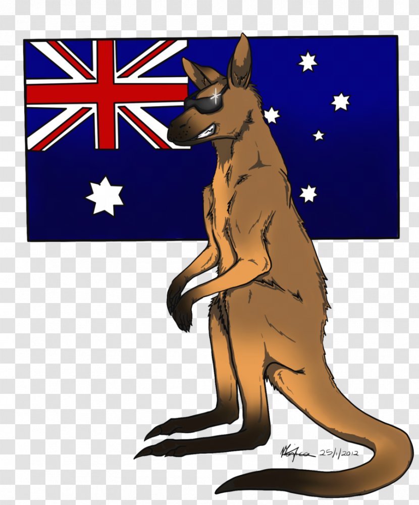 Australia Kangaroo Clip Art - Marsupial Transparent PNG