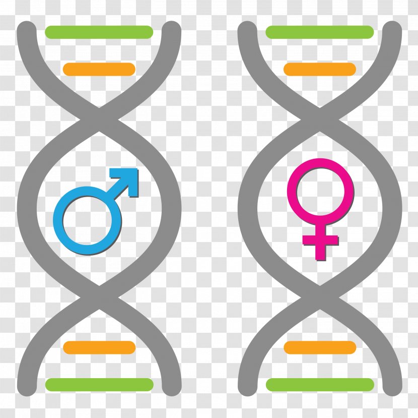 Gender Symbol Feminism Female Man - Symbols Transparent PNG