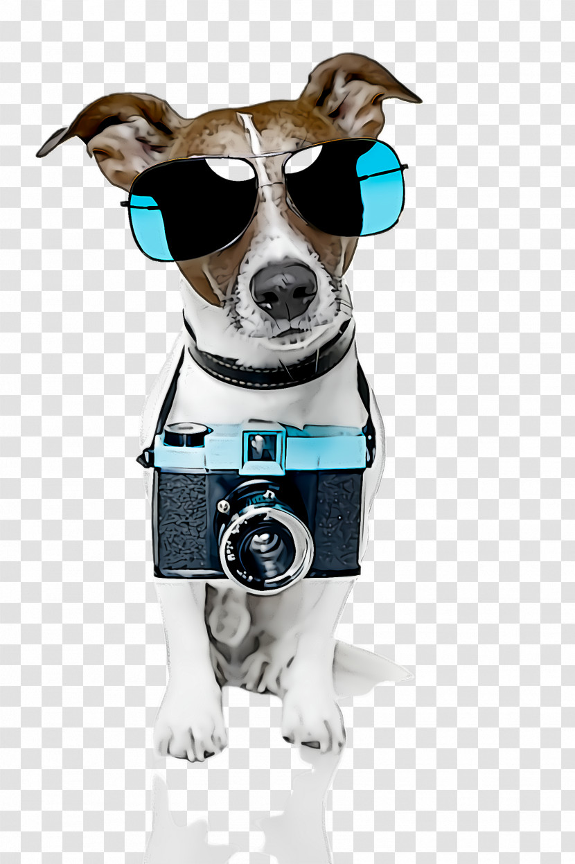 Dog Cartoon Snout Leash Collar Transparent PNG