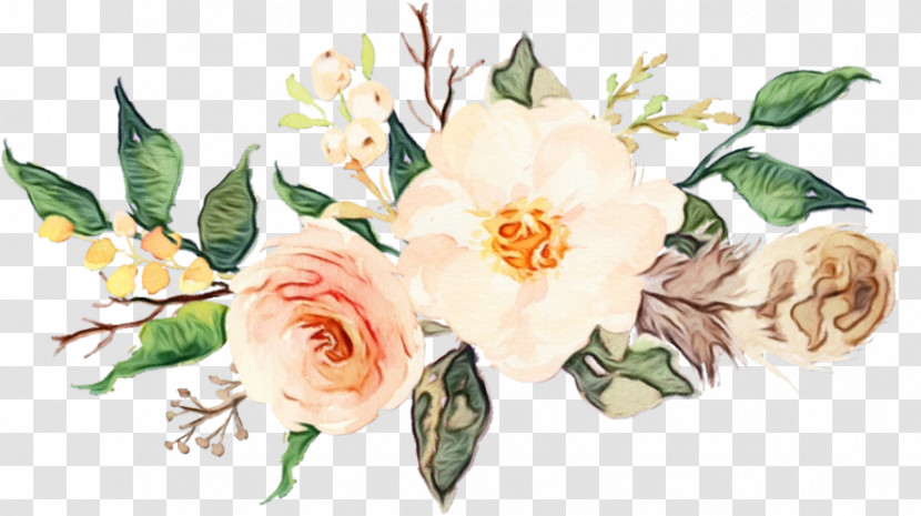 Garden Roses Transparent PNG