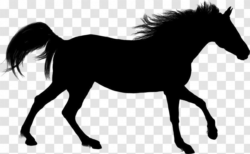 Arabian Horse American Paint Silhouette Stallion Clip Art - Animal Silhouettes Transparent PNG