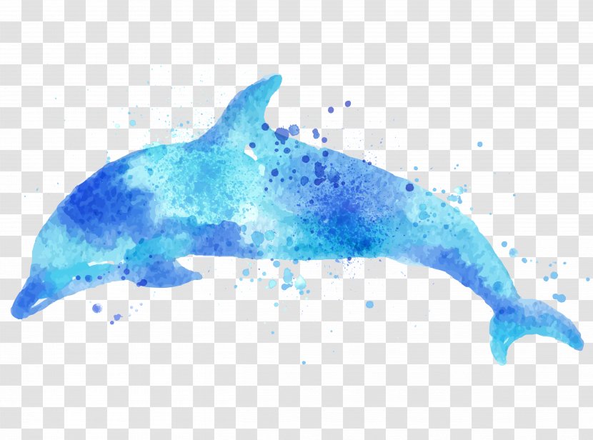Paper Dolphin Drawing Watercolor Painting - Tucuxi - Dolphins Transparent PNG