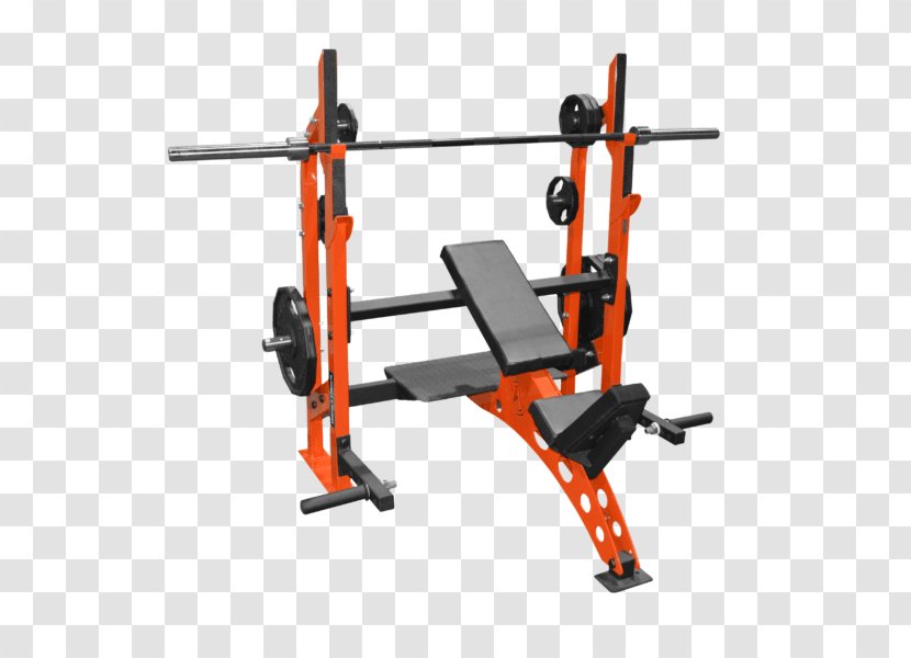 Power Rack Bench Weight Training Fitness Centre Strength - Dumbbells Squats Transparent PNG
