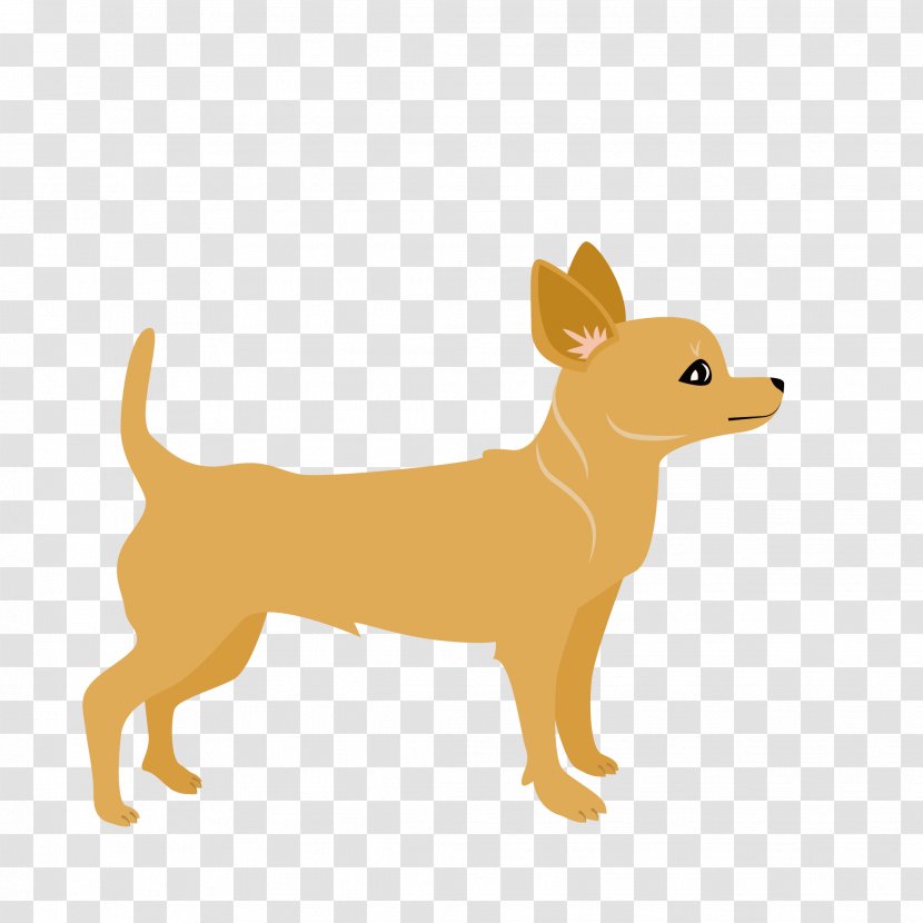 Labrador Retriever Miniature Pinscher Dachshund Golden Cat - Chihuahua - Animal Picture Transparent PNG