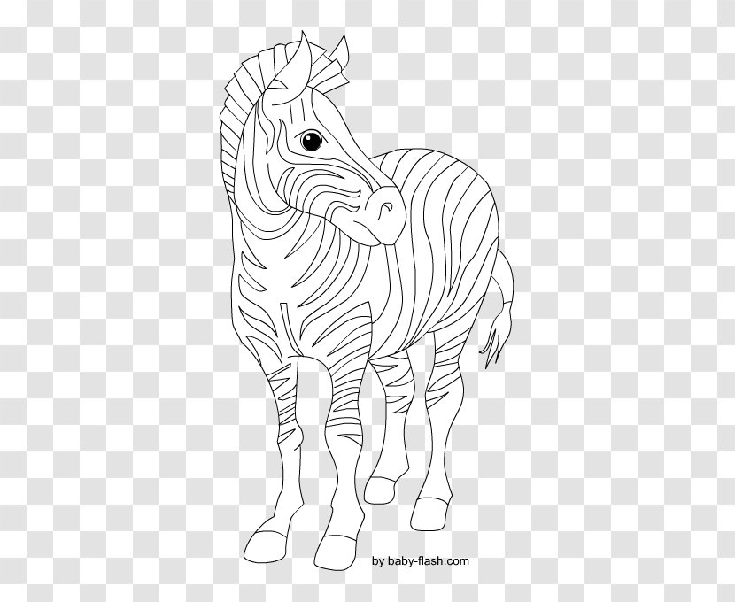 Drawing Line Art /m/02csf Illustration Graphics - Cartoon - Baby Girl Zebra Animal Transparent PNG