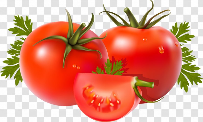 Tomato Vegetable Bell Pepper Food - Diet Transparent PNG