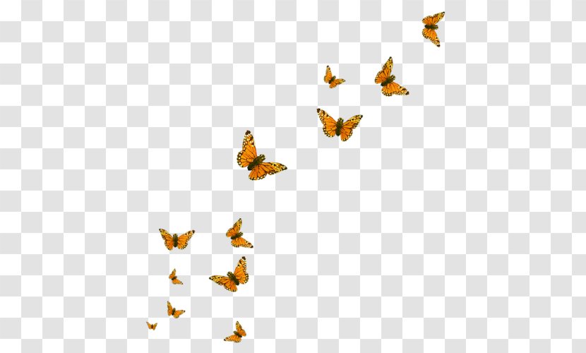 Quotation Drawing Desktop Wallpaper Butterfly - Moths And Butterflies Transparent PNG