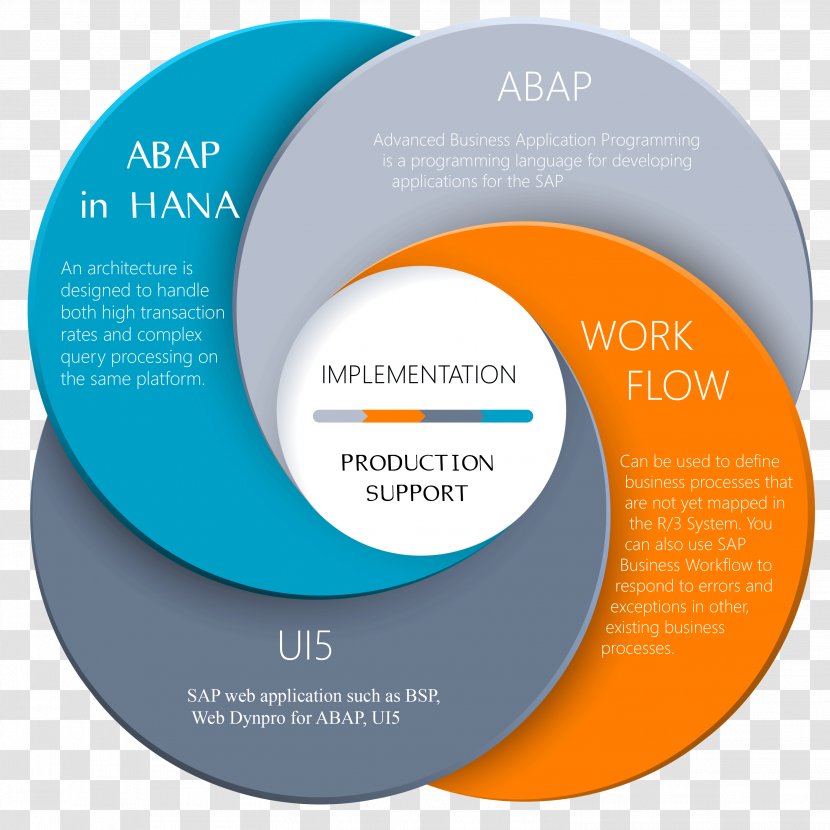 Graphic Design Brand - Lead Generation - Infographic Circle Transparent PNG