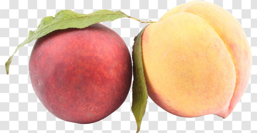 Saturn Peach Clip Art - Mango - Superfood Transparent PNG