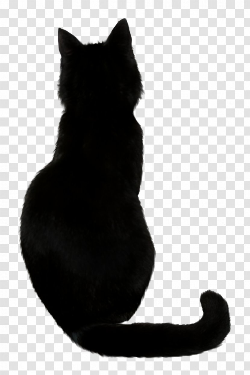 Black Cat Kitten Drawing - Fur Transparent PNG