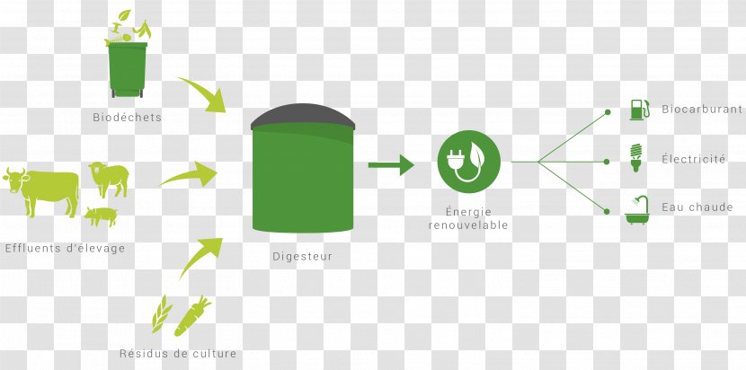 Biogas Anaerobic Digestion Renewable Energy Crop - Euros Transparent PNG