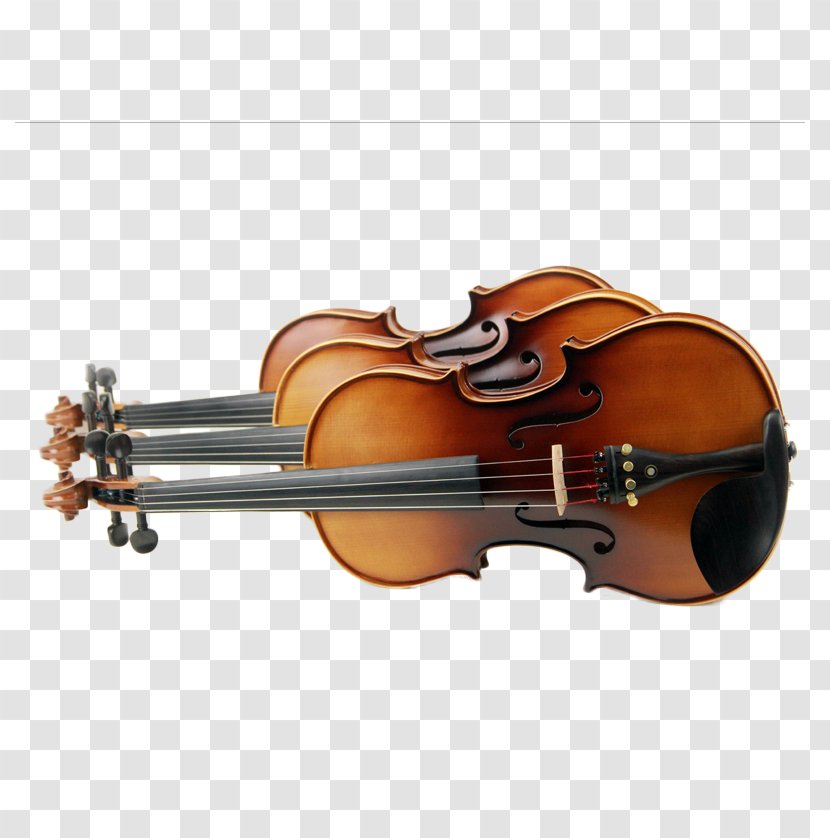 Bass Violin Viola - Flower - Three Transparent PNG