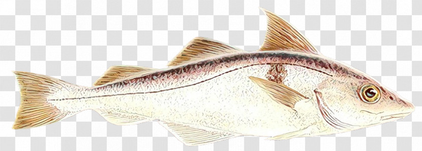 Fish Fish Transparent PNG