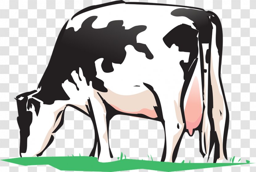 Dairy Cattle Clip Art Beef Baka Grazing - Mammal - Cow Transparent PNG