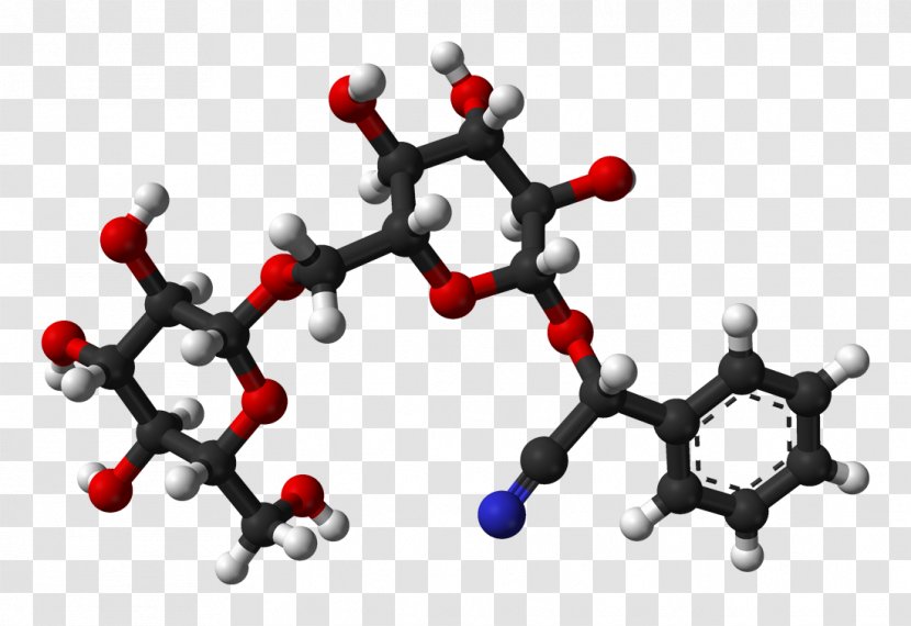 Amygdalin Cyanogeen Glycoside Mandelonitrile Cyanogen - Glucoside - Plant Transparent PNG