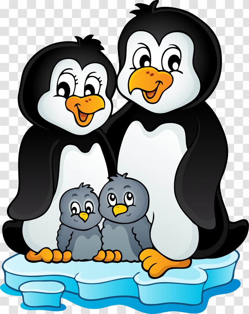 Penguin Can Stock Photo Photography Royalty-free - Footage - Penguins Transparent PNG