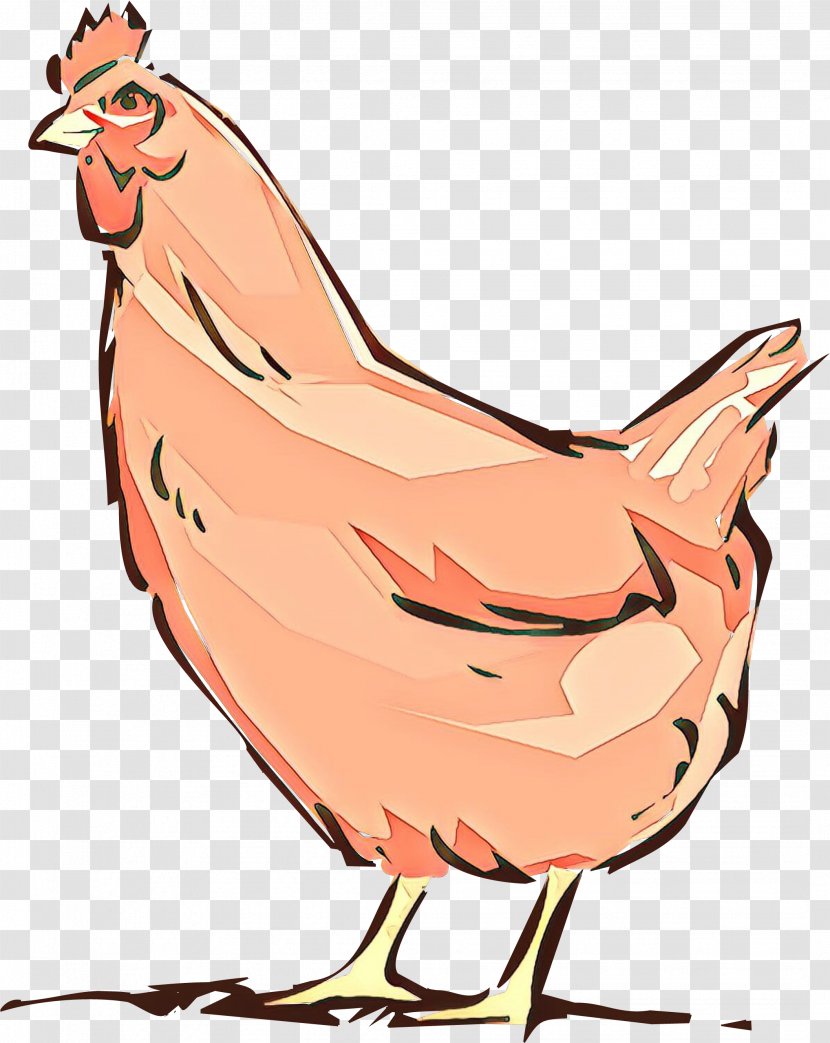 Chicken Rooster Clip Art Bird Cartoon - Livestock Beak Transparent PNG